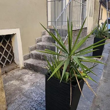 Alkimia House *